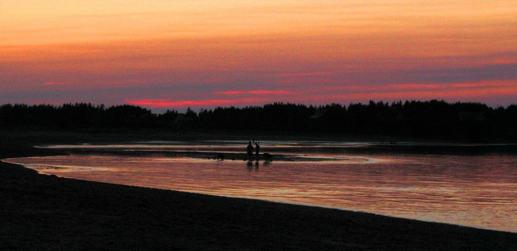 Clam diggers at Melmerby Beach by Howie Hennigar