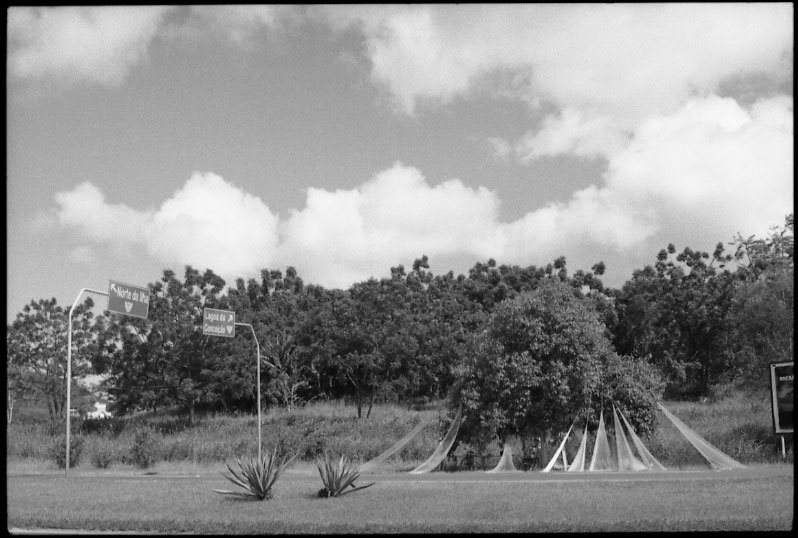 Av. da saudade - tarrafeiro by andre paiva