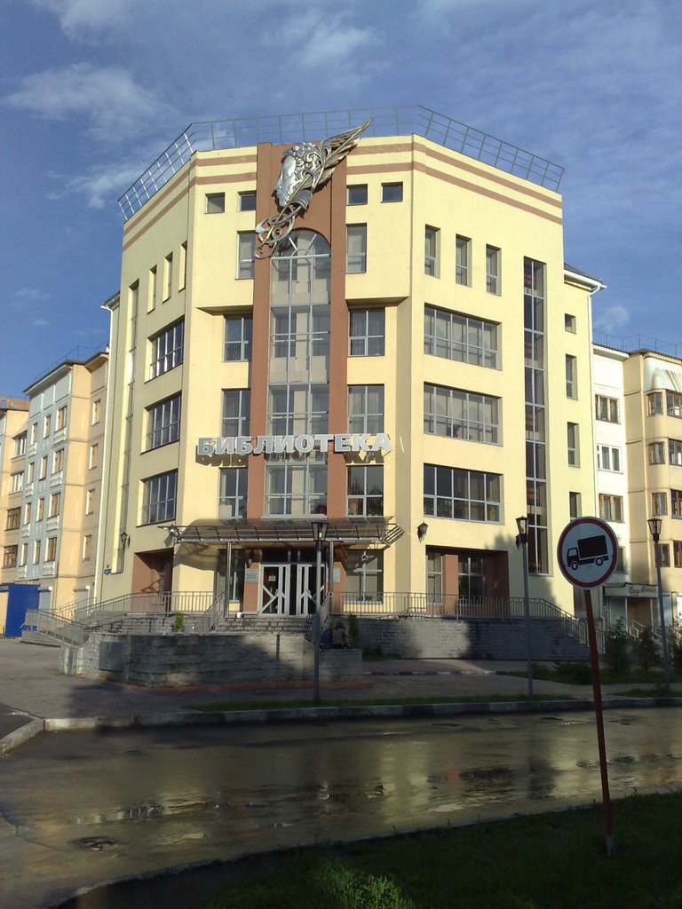 Novomoskovsk Library by siasia