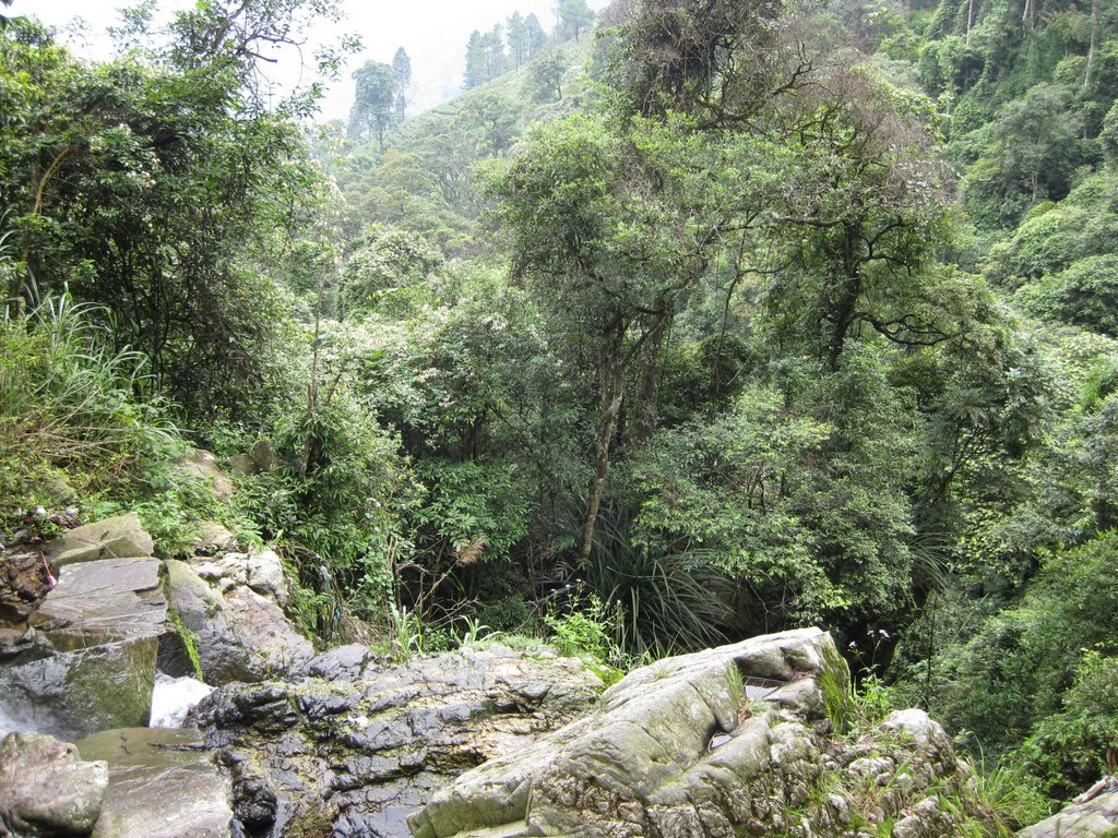 Thung sâu - Deep valley by Trung Đức