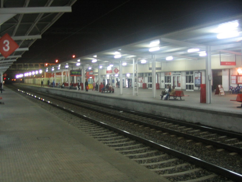 Estación FF.CC. Alcalá de Henares. by bios