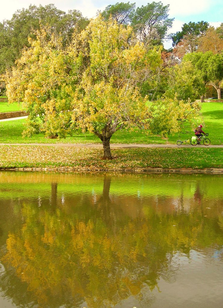 River Torrens by TakeAway