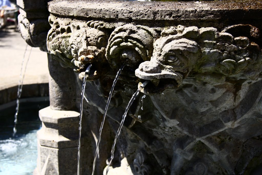 Gänseliesels Fountain by Victor Massaharu Wat…