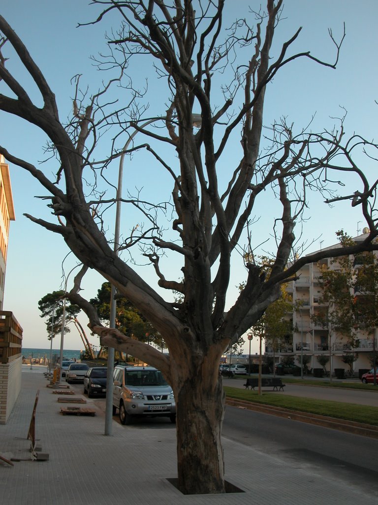 Cambrils - by Robi by ikizd