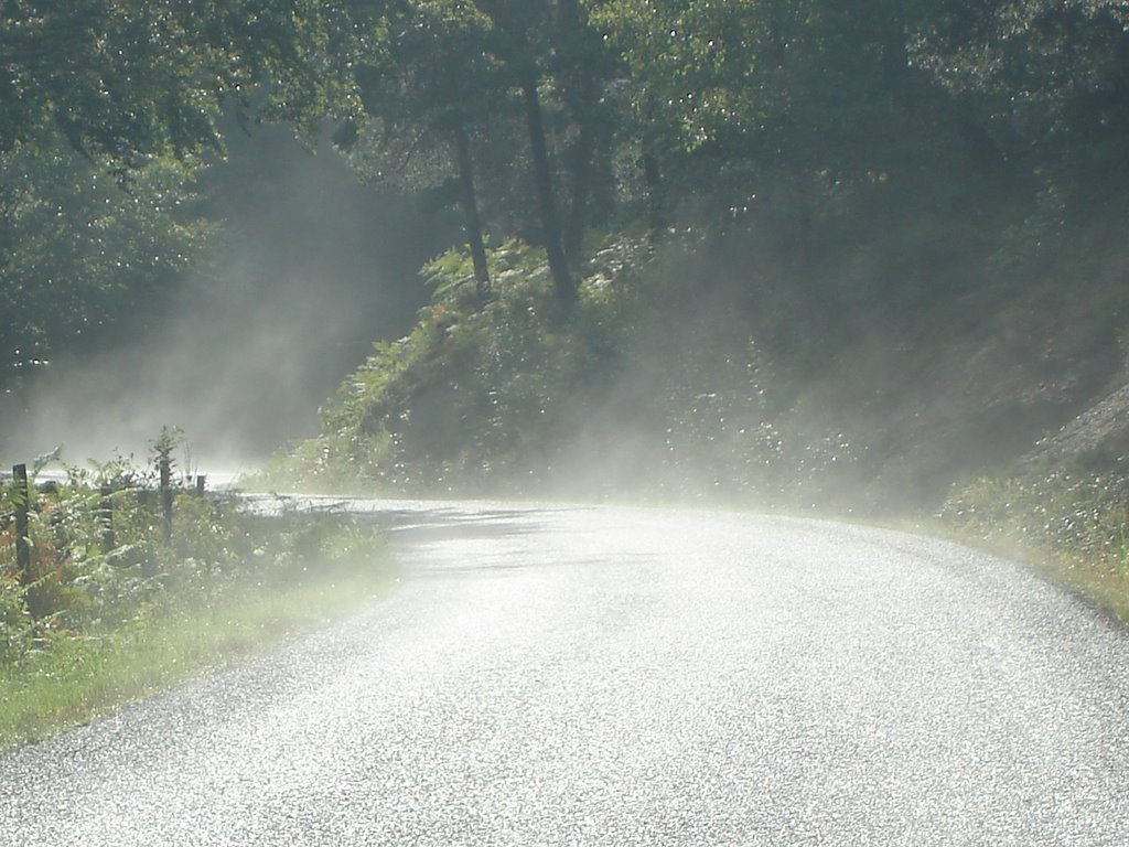 Foggy road by r.vanhees