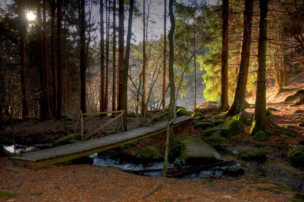 Brücke aus dem Höllbachtal by Horst Reisinger