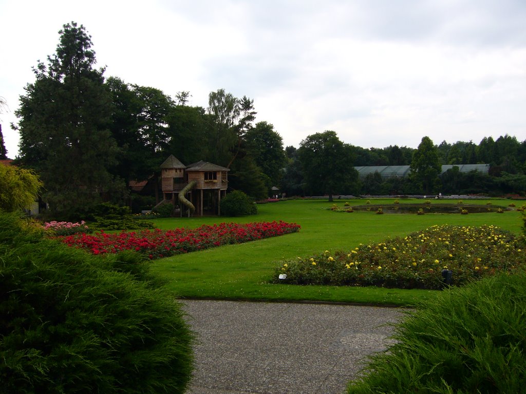 Rosenbeete und Baumhaus by D.Tetzner