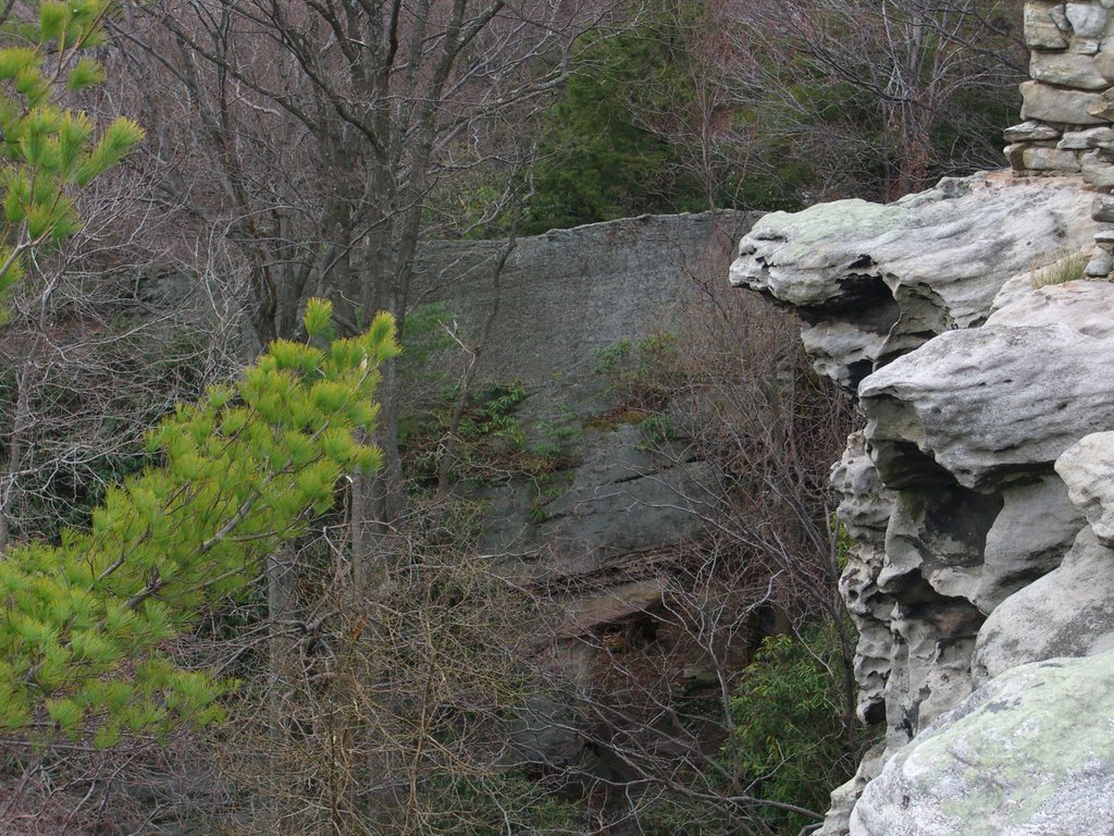 Coopers Rock State Park by Mochi Mochi kun