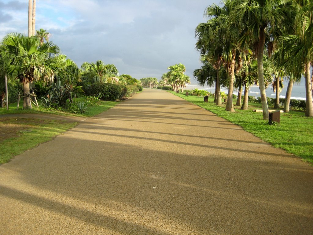 青島パームビーチ (Aoshima palm beach - Miyazaki) by chimura