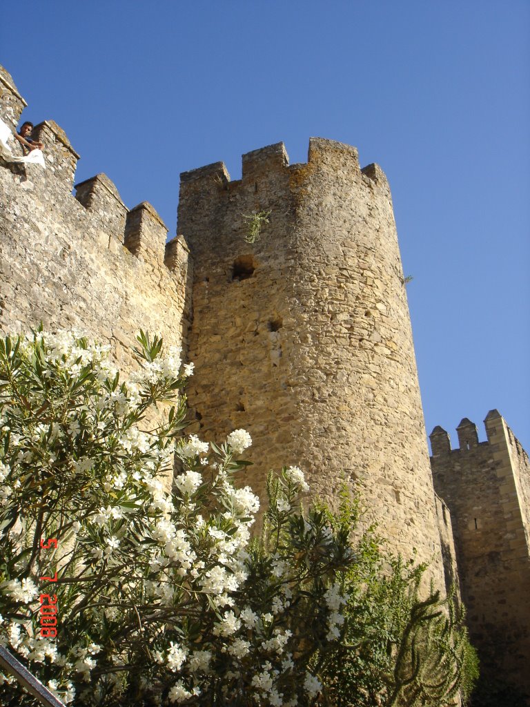 Castillo de las Aguzaderas by Anaisso