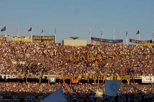 Hinchada de pumas by puma13