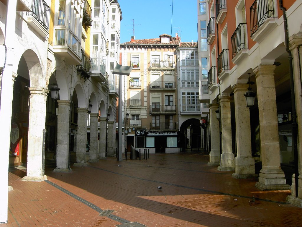 Burgos: Calle Cardenal Segura by Rosaflor