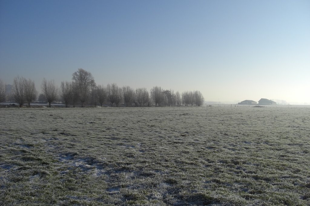 Winter in Hoogland West by Jeroen.Struijlaart