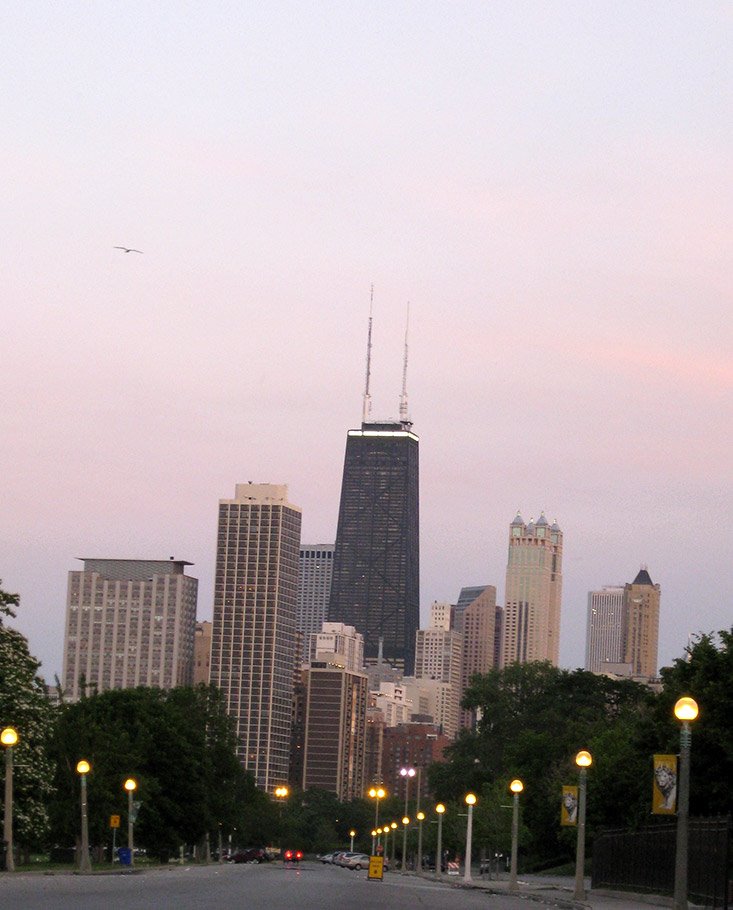 John Hancock Center (view from Lincoln Park Zoo) by Larry Koss