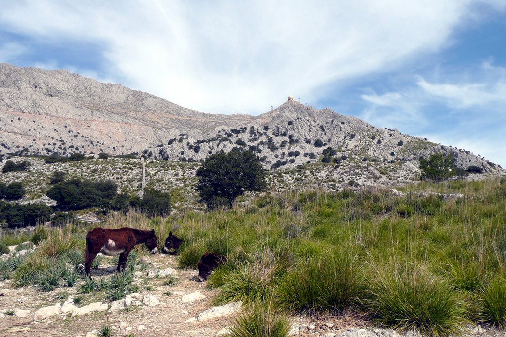 0402-02 sa Calobra 03 Puig Major by highfly75