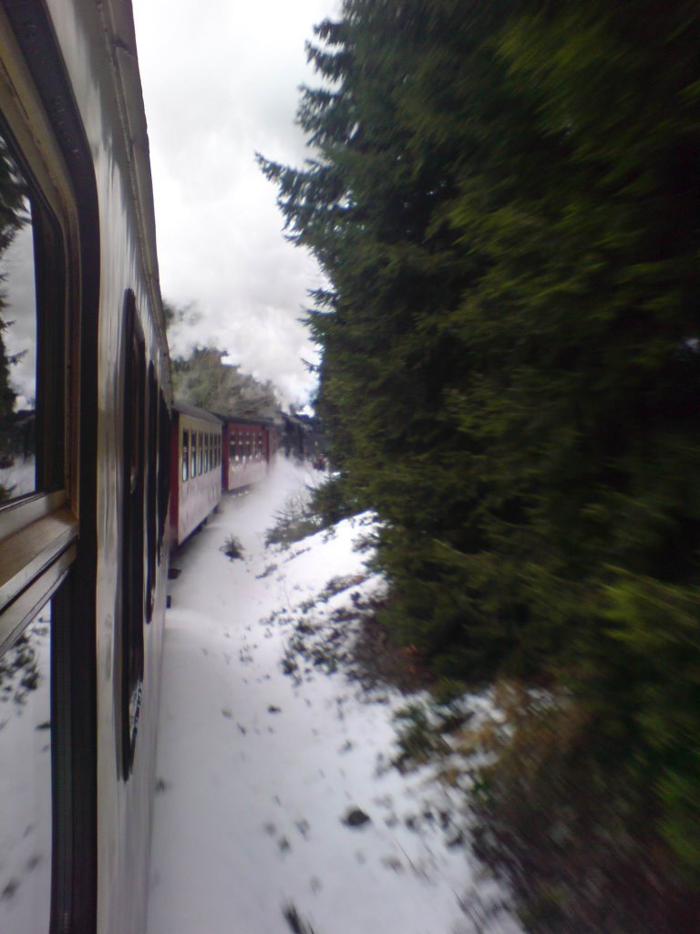 Brockenbahn while drivin´ up to the Brocken by Robtob