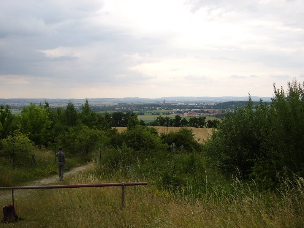 Blick von einer ausgeworfenen Kalkscholle nach Nördlingen by binnenseemann