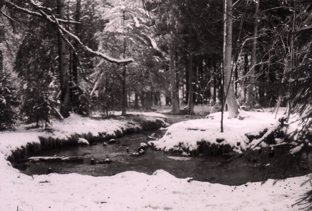 Höllbach im Winter by ulileo