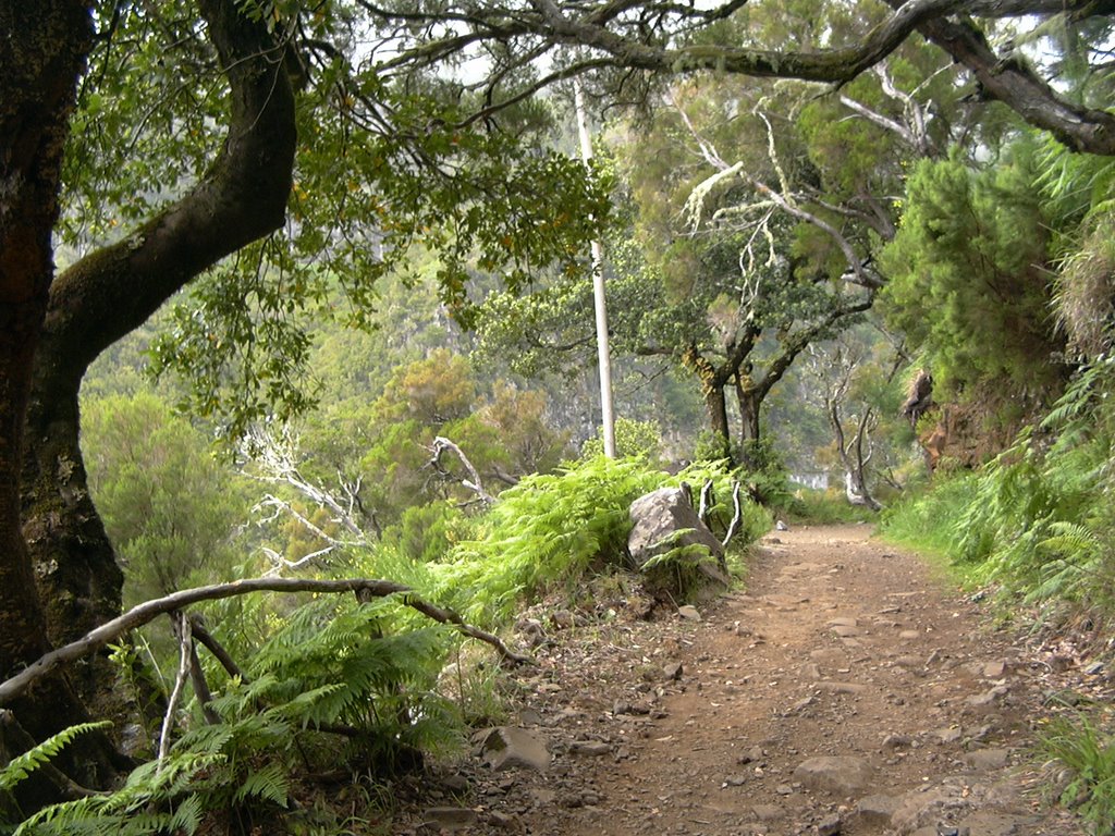 Camino de Cascada da Risco, Rabaçal by tejinero