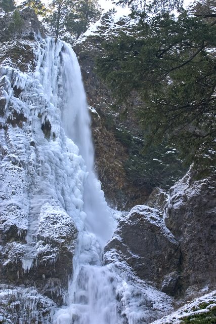 Starvation Creek Falls by Curtis Knight