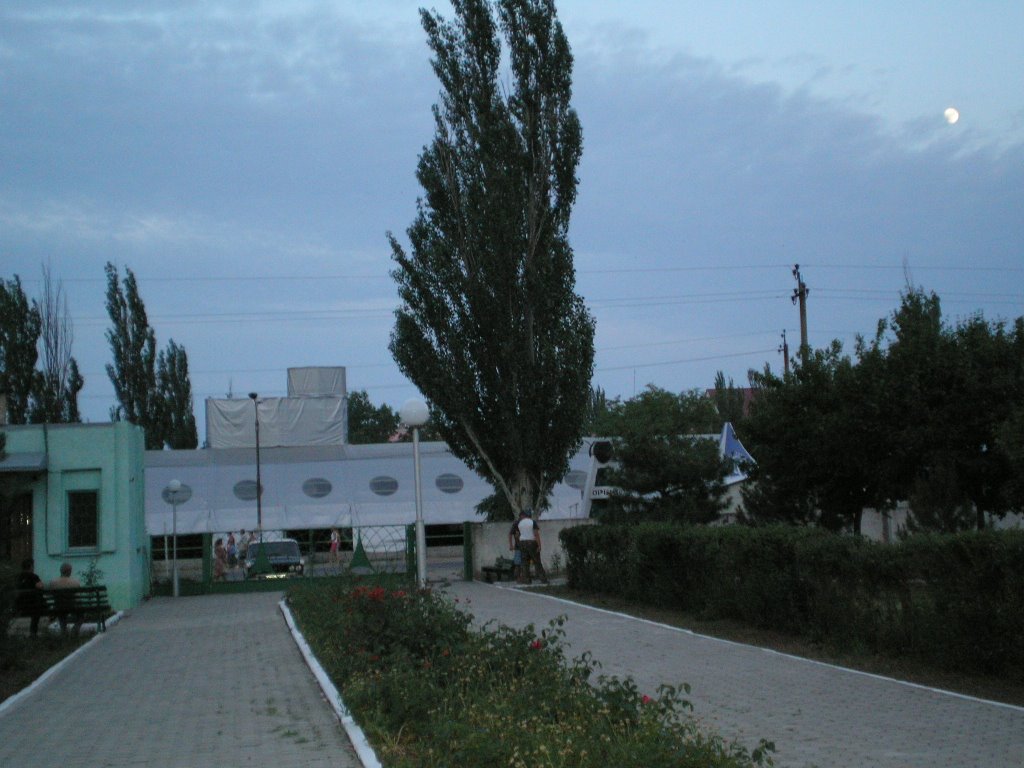 Novoazovs'kyi district, Donetsk Oblast, Ukraine by Bezsonov Oleg