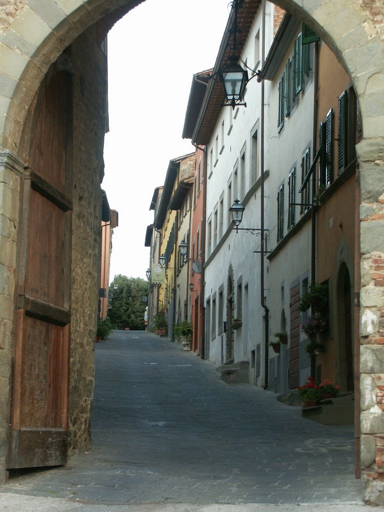 P.ta Fiorentina - Via Carmignani a Montecarlo. by Arturo Biondi