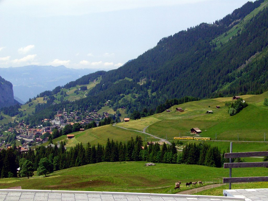 ZahnradBahn Wengen T2008-06-24_088 © http://www.fahidi.eu by Béla Fahidi