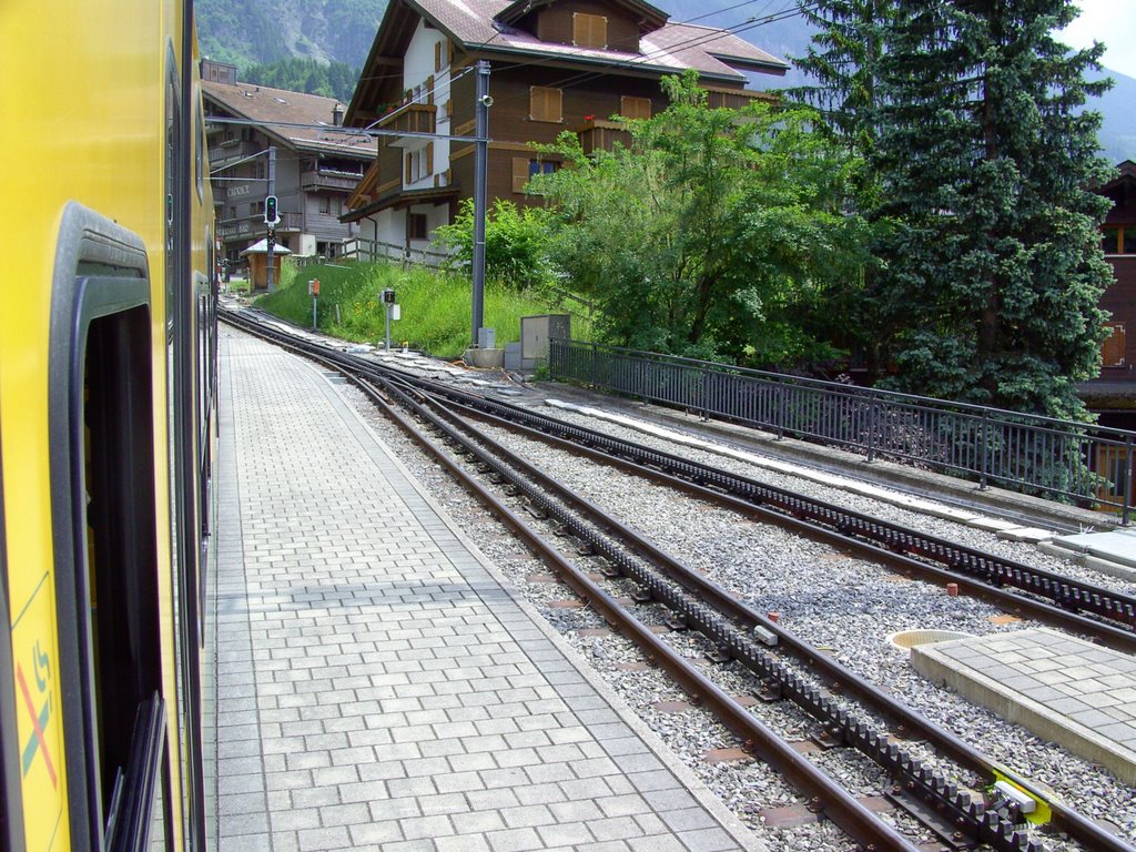 Bahnfahrt Wengen - Grindelwald T2008-06-26_045 © http://www.fahidi.eu by Béla Fahidi