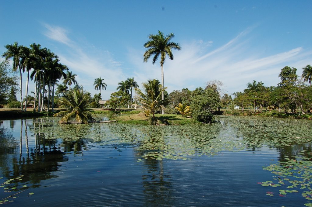 Crocodile farm by la_tarnum