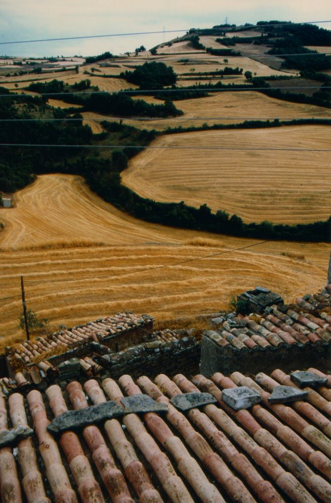 Da Miranbell verso sud by Vittorio Fadi