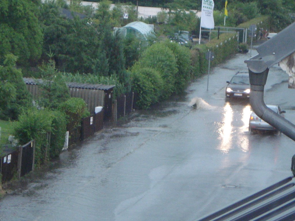 Leine Str. unter Wasser by HannesFCL