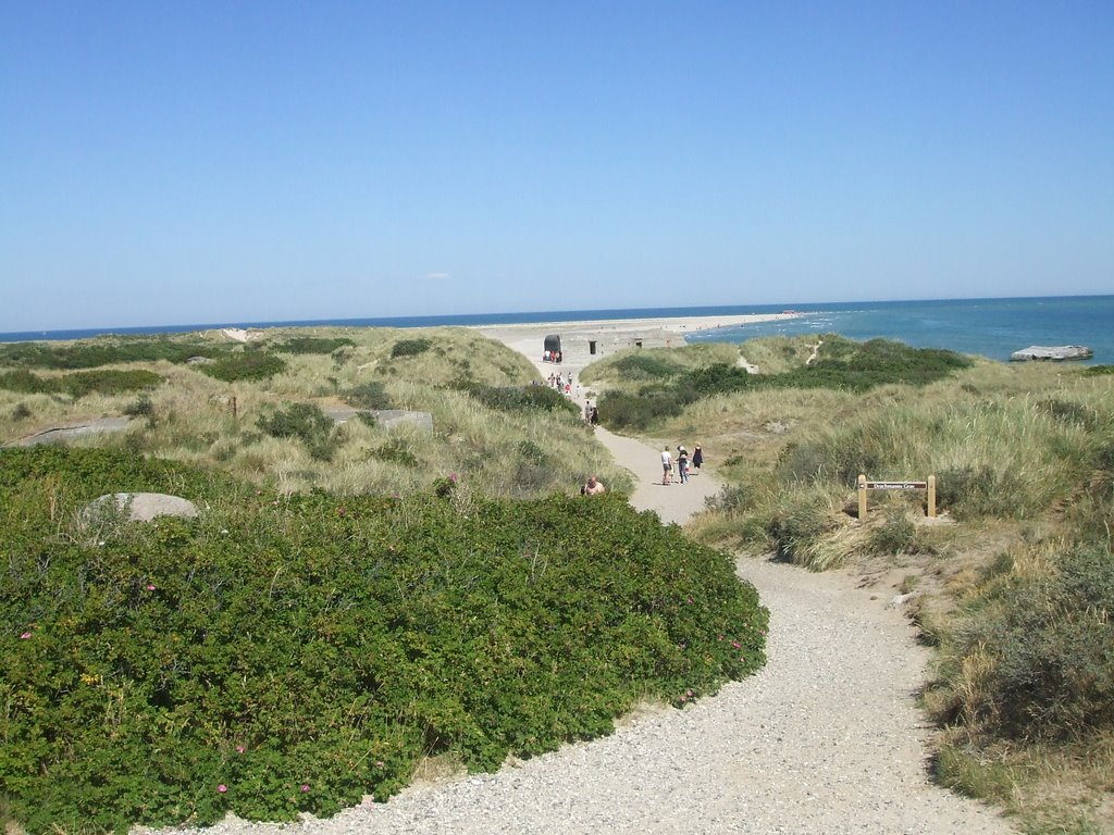 Grenen bei Skagen Juni 2008 by HelgeTanja