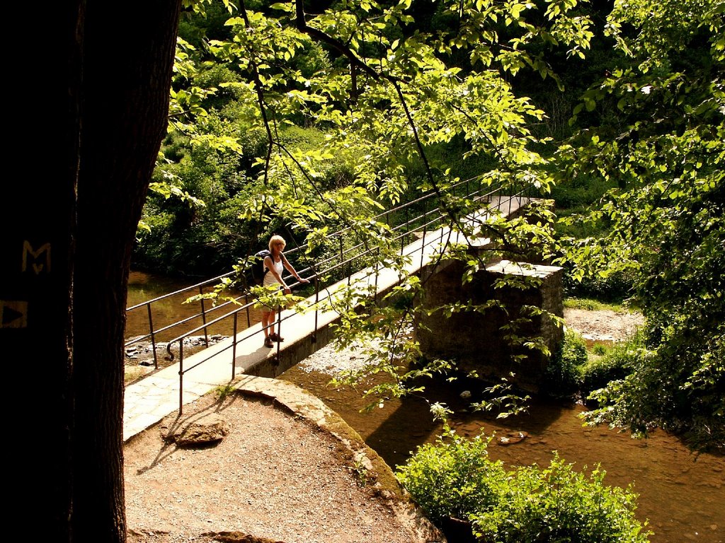 Eltzbrücke zur BURG ELTZ ... by MrRheingold