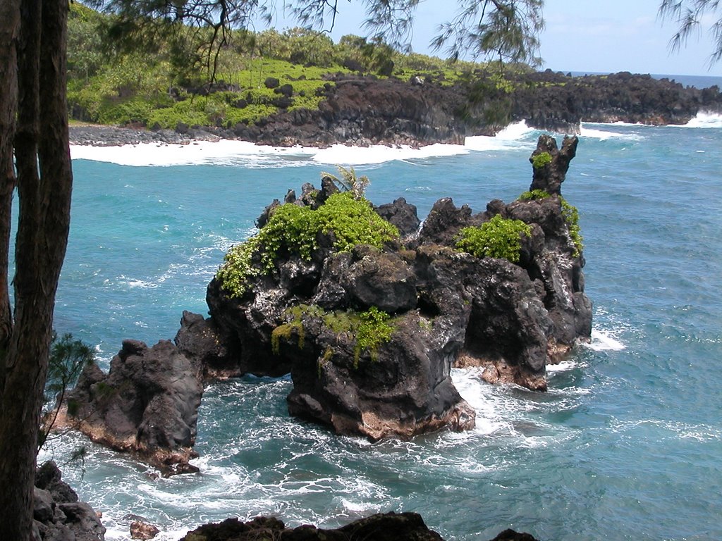 Black Beach, Maui, Hawaii by kozaski