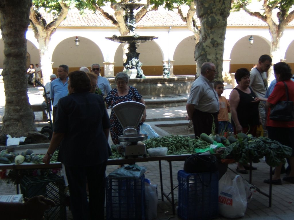 Mercadillo en Ciudad Rodrigo by amatistha