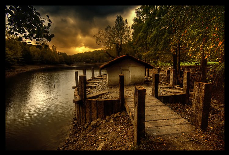 Ataturk Arboretum by evran ozturk (TorK)