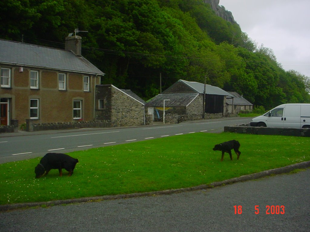 Dolbenmaen, UK by cocoen