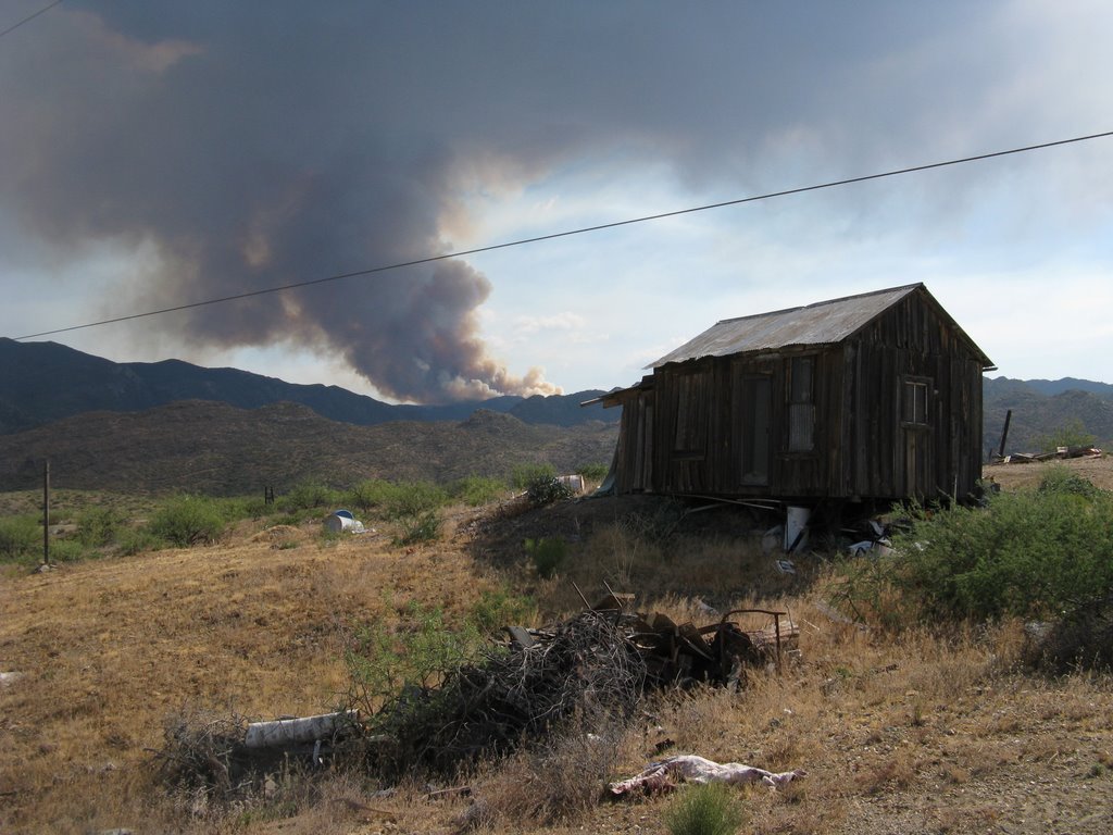 Cleator AZ, Lane 2 Fire, 5 hours old by Traveling Gal