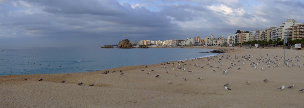 Platja i sa Palomera. Blanes. by Quitus