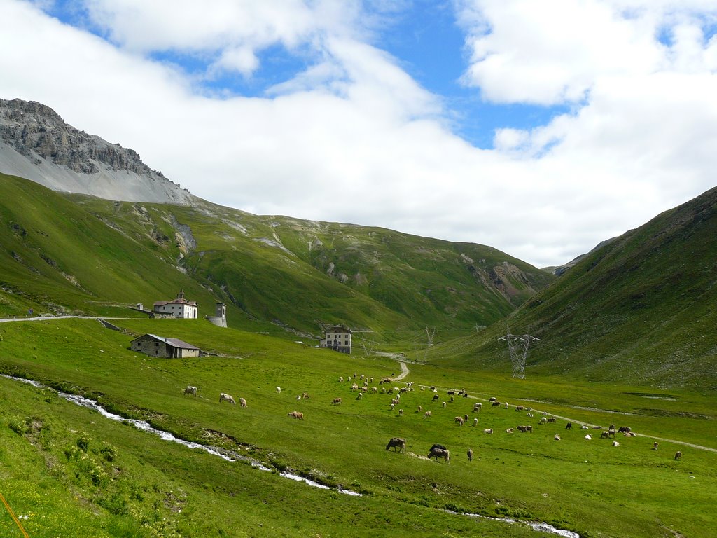 Passo dello Stelvio 2008 by david.m