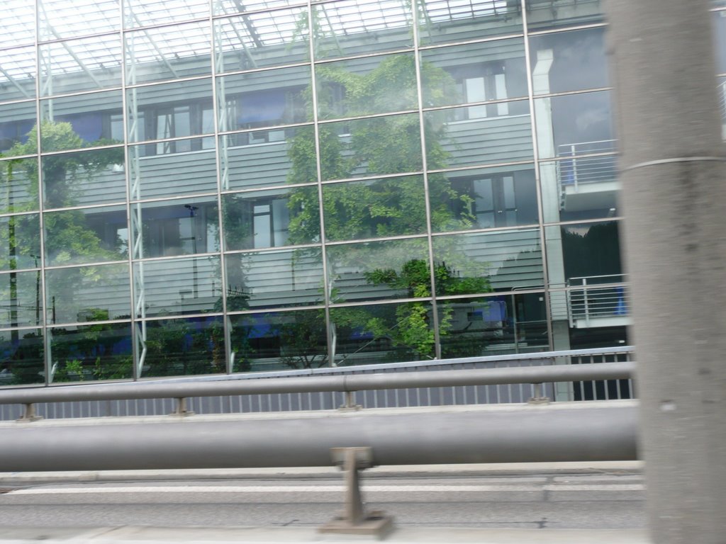 Bäume hinter Glas im Gebäude by Z@n.de(R)