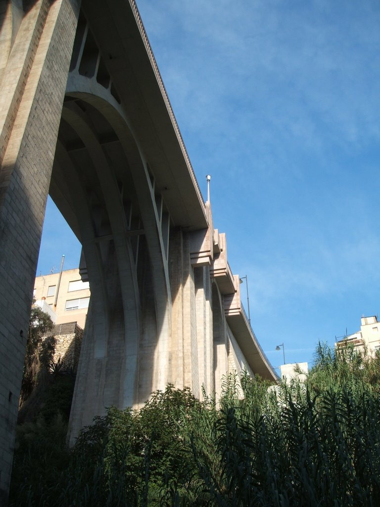 Vista riu del Pont de santa Maria by seribrei