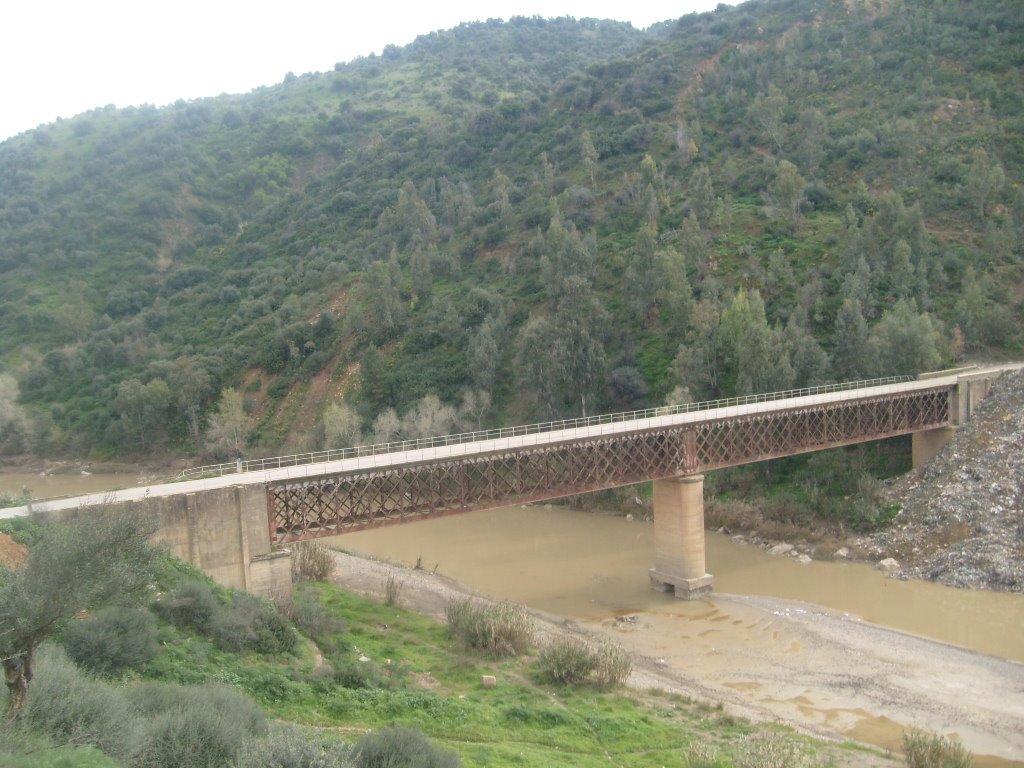 Le pont mzaoueche reliant El jebel a kadiria by jilal