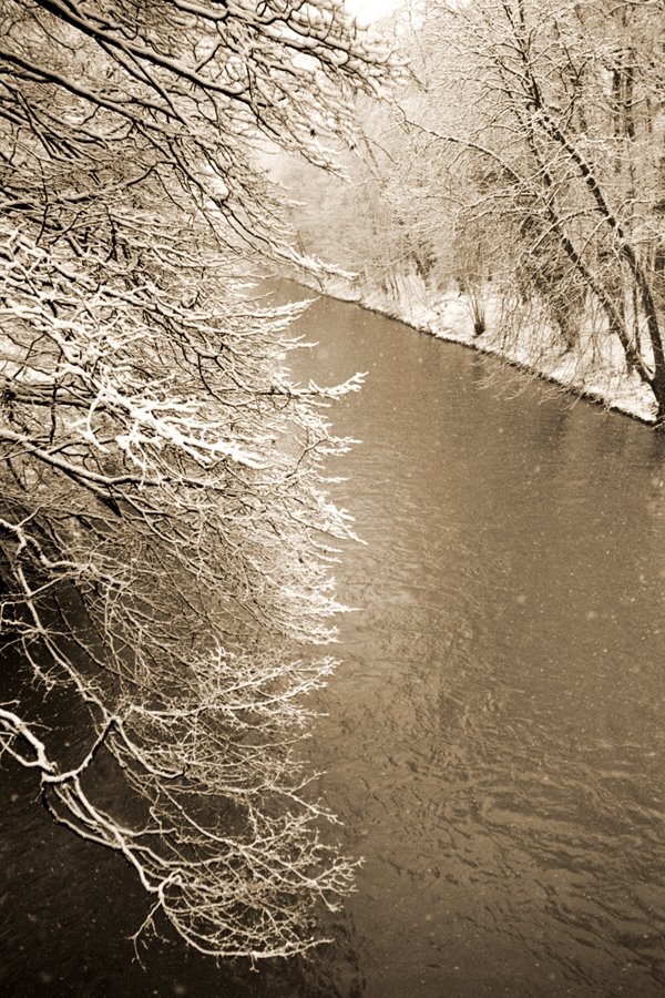 Neckar, Derendinger Alle by Matthias Lehr