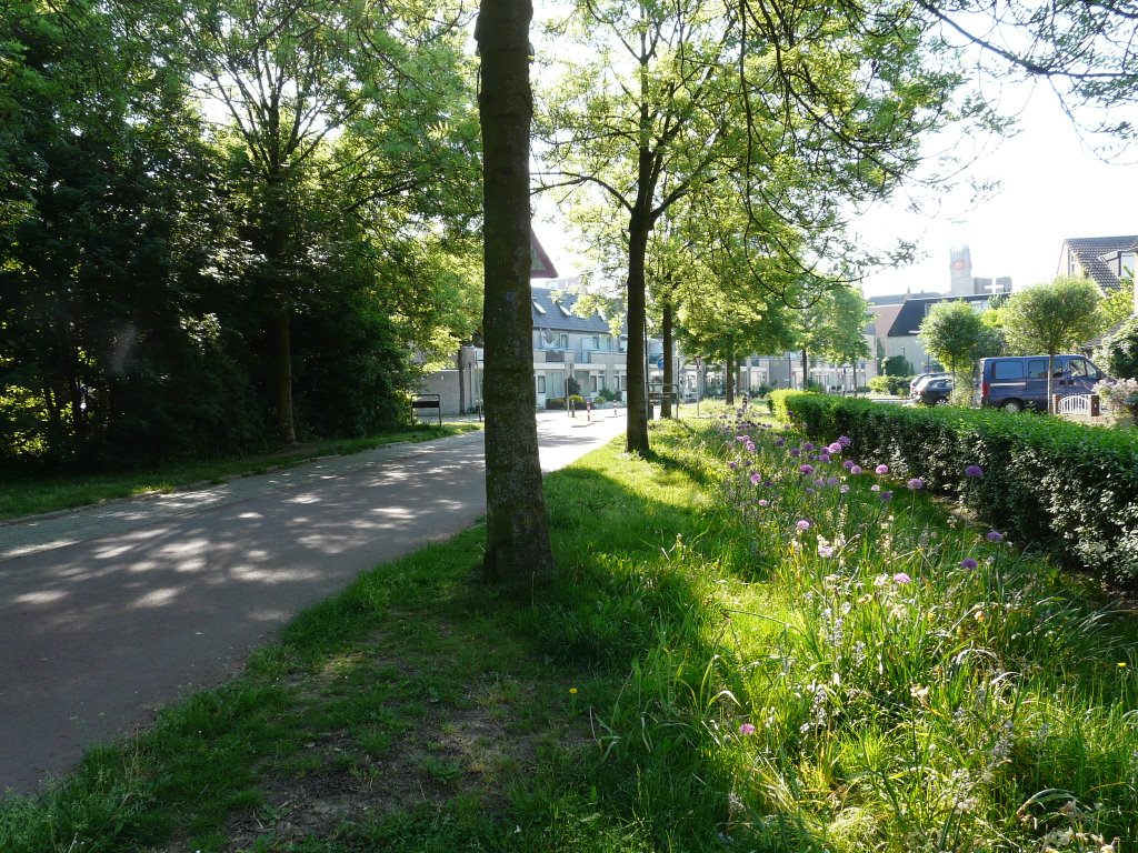 Het Weerwolfseind, zicht op zuidoosten, Houten by David Jimmink