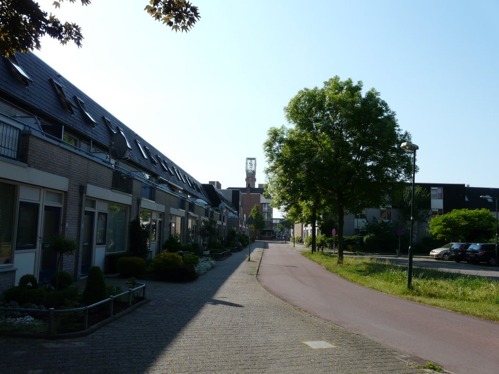 Het Weerwolfseind, zicht op zuiden, Houten by David Jimmink