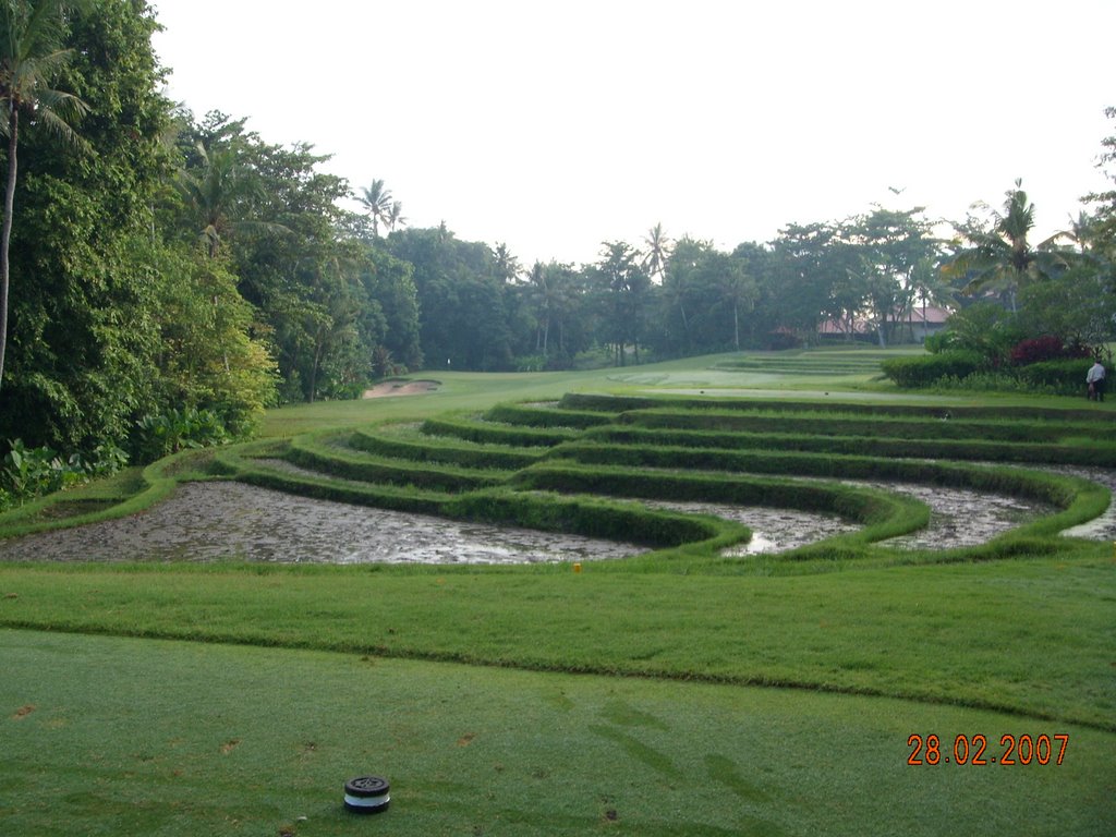 Rice field golf course by satriyaeddy