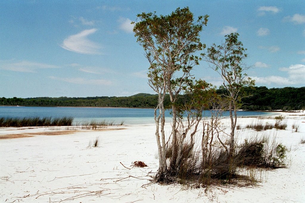 Fraser Island by socialmedia.rheintal