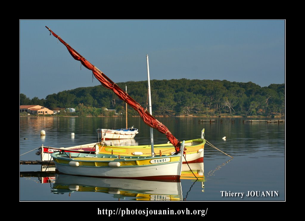 Pointus du Brusc _Photo JOUANIN by Thierry JOUANIN