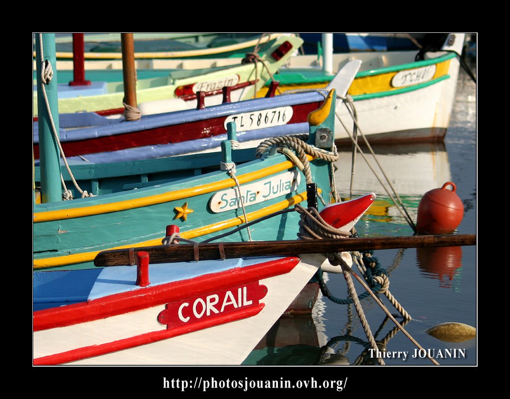 Pointus du Brusc _Photo JOUANIN by Thierry JOUANIN